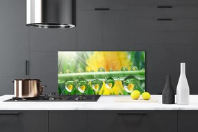 Panel nad blat kuchenny Poranny Detal Roślinny