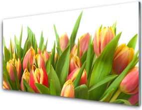Panel Szklany do Kuchni Klasyczny Bukiet Tulipanów