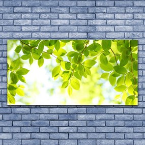 Obraz na płótnie Świeże Zielone Liście