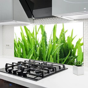 Panel Szklany do Kuchni Soczysta Zielona Trawa