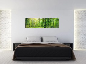 Obraz - Wiosenny las liściasty (170x50 cm)