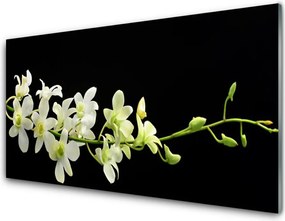 Panel Szklany do Kuchni Polne Kwiaty W Rozkwicie