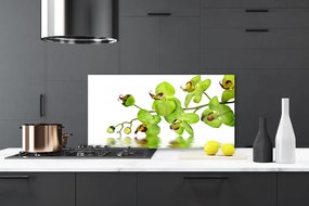 Dekor Szklany do Kuchni Kolorowy Ogród Botaniczny