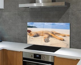 Szklany Panel Relaks Psa na Gorącym Piasku