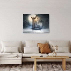 Obraz - Magiczne lustro (70x50 cm)