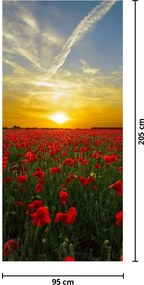Fototapeta na drzwi - Pole maków (95x205cm)