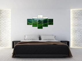 Obraz - Plantacje herbaty w Malezji (125x70 cm)