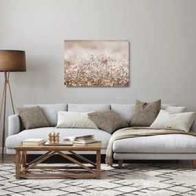 Obraz na szkle - Łąka w odcieniach brązu (70x50 cm)
