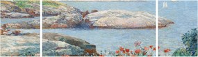 Obraz - Childe Hassam, Poppies,  Isles of Shoals, reprodukcje (170x50 cm)