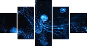 Obraz - Meduza (125x70 cm)