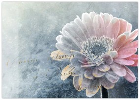 Obraz na szkle - Zimowy kwiat (70x50 cm)
