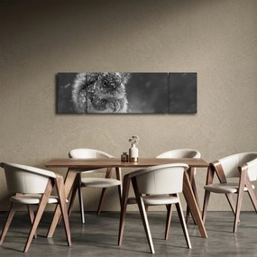 Obraz - Wiewiórka zimą (170x50 cm)