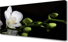 Obraz canvas Botaniczna Elegancja Kwiatów