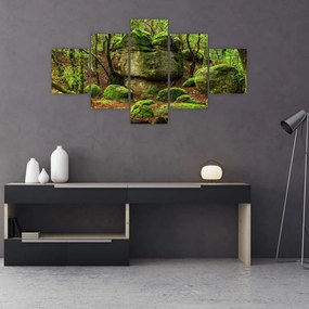 Obraz magicznego lasu (125x70 cm)