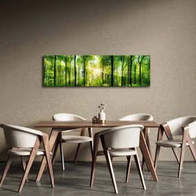 Obraz - Świt w lesie (170x50 cm)