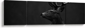 Obraz - Portret jelenia (170x50 cm)