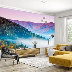 Fototapeta - Leśny krajobraz (196x136 cm)