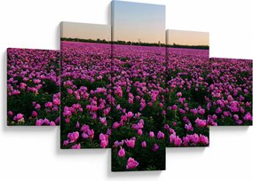 Obraz - Łąka fioletowych tulipanów (125x70 cm)