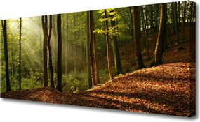 Fotoobraz na płótnie Głęboka Zieleń Lasu