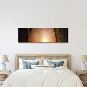 Obraz jesiennego lasu we mgle (170x50 cm)