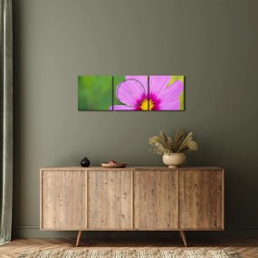 Obraz - polny kwiat (z zegarem) (90x30 cm)
