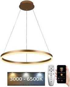 Brilagi - LED ściemnialny żyrandol na przewodzie CIRCLE LED/42W/230V 3000-6500K + pilot