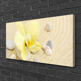 Obraz na płótnie Klasyczna Elegancja Kwiatów