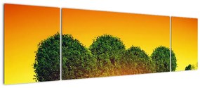 Obraz - Serce w koronach drzew (170x50 cm)