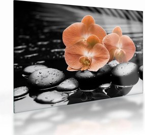 Obraz na szkle - Pomarańczowe orchidee (70x50 cm)