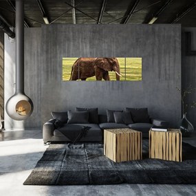 Obraz słonia (170x50 cm)