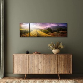 Obraz krajobrazu (170x50 cm)