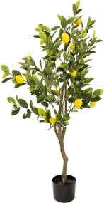 Drzewko cytrynowe Classic w doniczce 125 cm