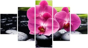 Obraz - Różowe orchidee z liściem palmy (125x70 cm)