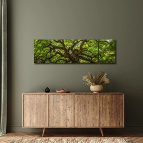 Obraz - Zielone drzewo (170x50 cm)