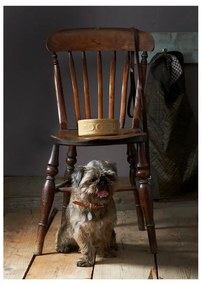 Kamionkowa miska dla psa Mason Cash Pet Cane Dog, ø 25 cm