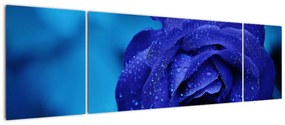 Obraz niebieskiej róży (170x50 cm)