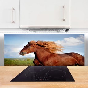 Panel Kuchenny Szlachetny Koń W Galopie