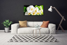 Obraz Canvas Orchidea Kwiaty Natura