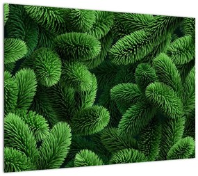 Obraz na szkle - Gałązki drzew iglastych (70x50 cm)