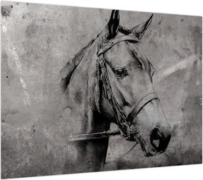 Obraz na szkle - Portret konia (70x50 cm)