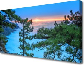 Obraz na płótnie Majestatyczne Drzewa w Lesie