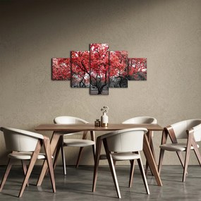 Obraz - Czerwone drzewa, Central Park, New York (125x70 cm)
