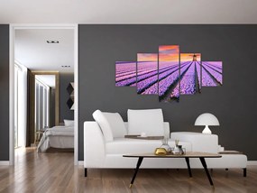 Obraz - farma kwiatów (125x70 cm)