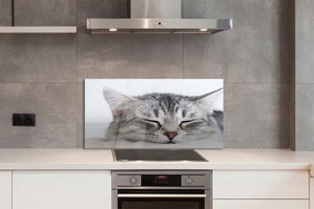 Szkło do Kuchni na Ścianę Słodki Sen Śpiącego Kota