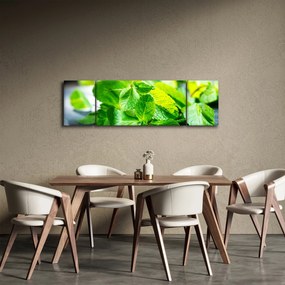 Obraz mięty (170x50 cm)