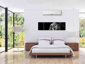 Obraz - Lew, czarno-biały (170x50 cm)