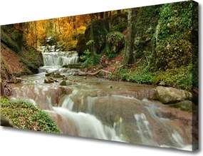 Obraz canvas Kaskada w Cieniu Lasu