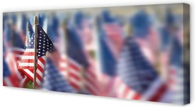 Zdjęcie na płótnie Flaga Stanów Zjednoczonych