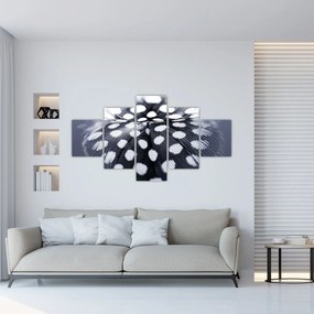 Obraz - Piórko (125x70 cm)