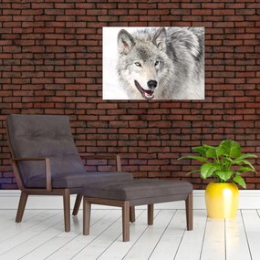 Obraz na szkle - Wilk w naturze (70x50 cm)